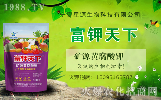 ��Դ�������v���r(n��ng)���W(w��ng)���_���W(w��ng)�j(lu��)������������