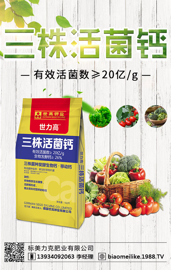 ���S��ʲô�r(sh��)������ã����S�������ע�����(xi��ng)��