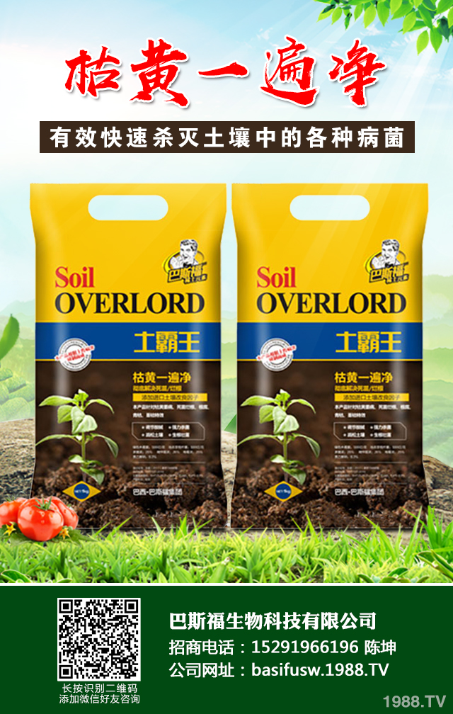 �����~�ݲ����ӷ����������~�ݲ����μ���