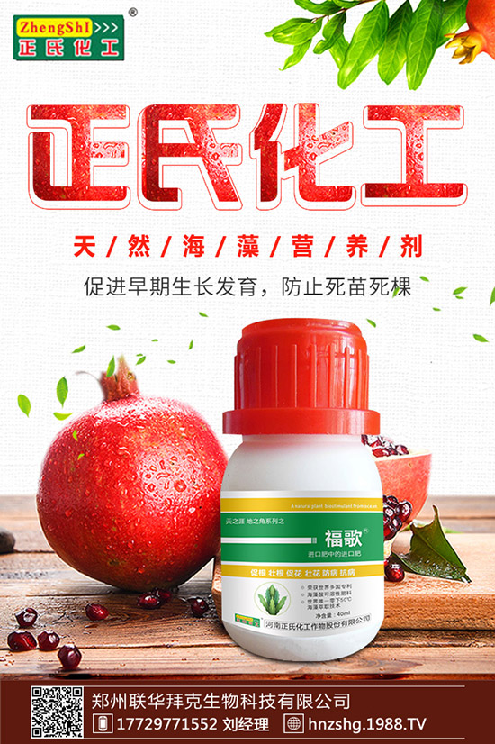 金銀花有什么作用，金銀花的功效與食用禁忌！