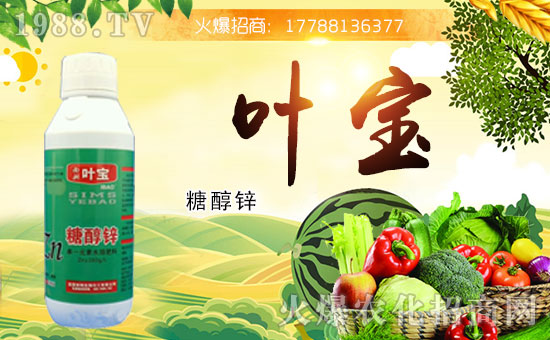 ���������������ό��~�y��1988.TV������W(w��ng)�j(lu��)�������E��