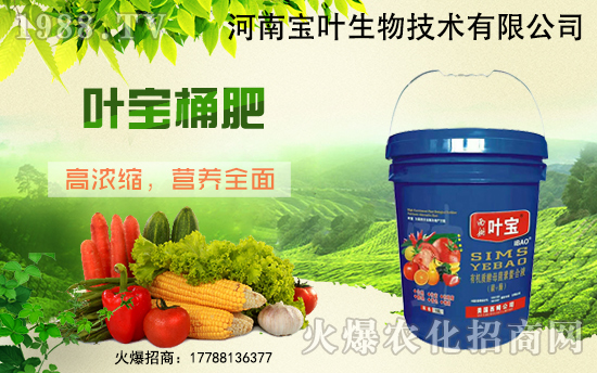 ���������������ό��~�y��1988.TV������W(w��ng)�j(lu��)�������E��