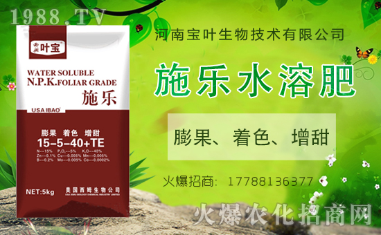 ���������������ό��~�y��1988.TV������W(w��ng)�j(lu��)�������E��