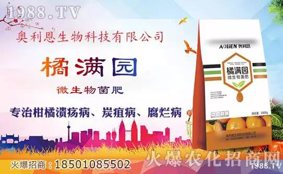 �W�����������v���r(n��ng)���W(w��ng)���_���W(w��ng)�j(lu��)������������