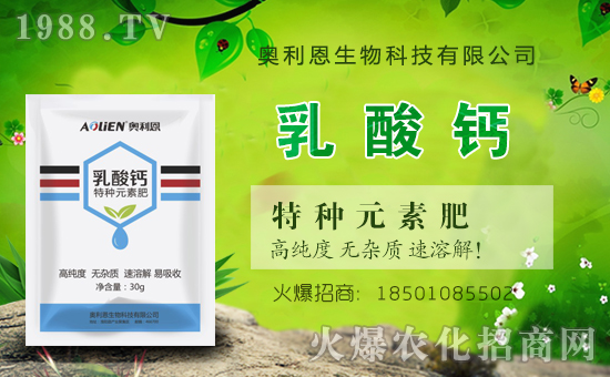 �W�����������v���r(n��ng)���W(w��ng)���_���W(w��ng)�j(lu��)������������