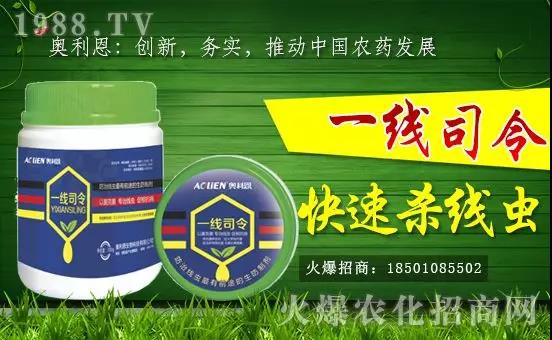 �W�����������v���r(n��ng)���W(w��ng)���_���W(w��ng)�j(lu��)������������