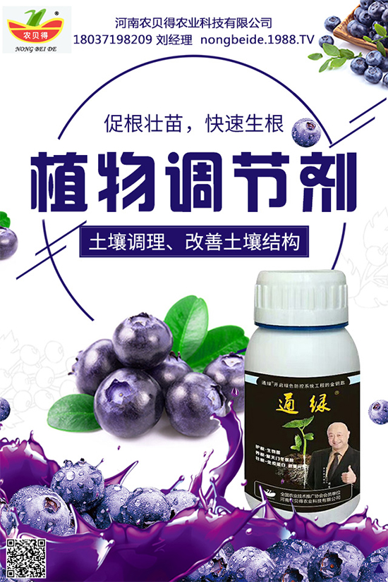 大蔥該如何育苗？育苗后大蔥管理方案