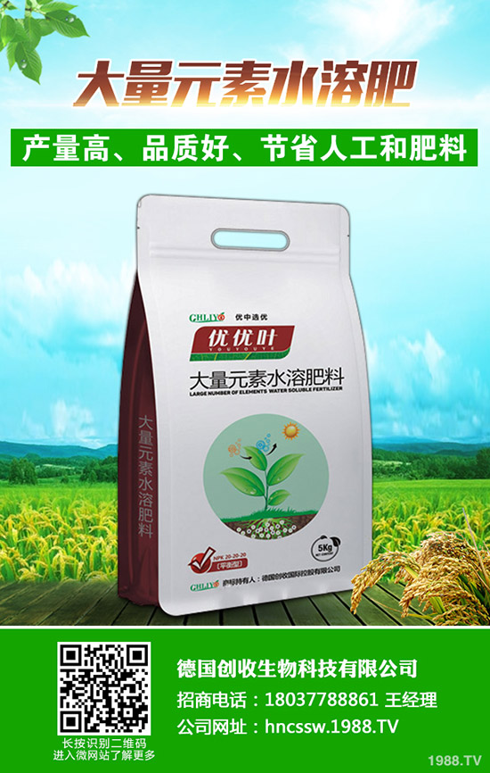     今日國內(nèi)二銨價格行情走勢預測綜合評述2019年9月18日