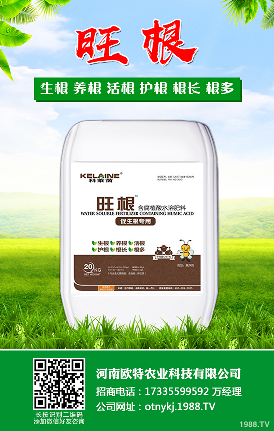 ���[�ɼ���զ���£����ӽ�Q�����[�ɼ��ԭ�򼰷���