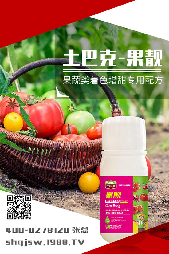 �ϹϷNֲ�r�g��ʲô�r�����ϹϵĲ��N���������༼�g(sh��)!