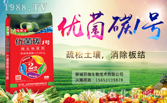 �������x������(j��)���ĳǰ�΢���m(x��)ǰ�����y���r(n��ng)���W(w��ng)����(chu��ng)���x����