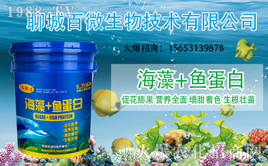 �������x������(j��)���ĳǰ�΢���m(x��)ǰ�����y���r(n��ng)���W(w��ng)����(chu��ng)���x����