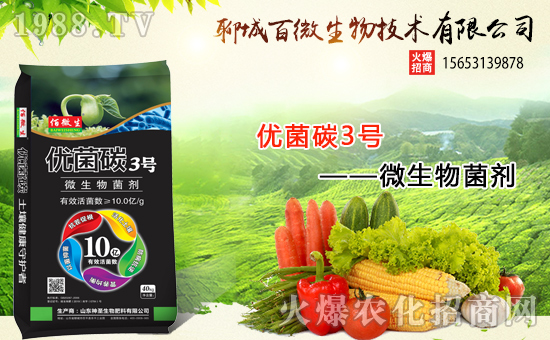 �������x������(j��)���ĳǰ�΢���m(x��)ǰ�����y���r(n��ng)���W(w��ng)����(chu��ng)���x����