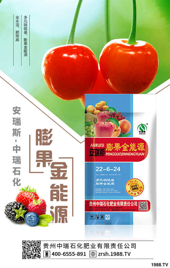 萵苣該如何育苗？萵苣苗期管理技術(shù)要點(diǎn)