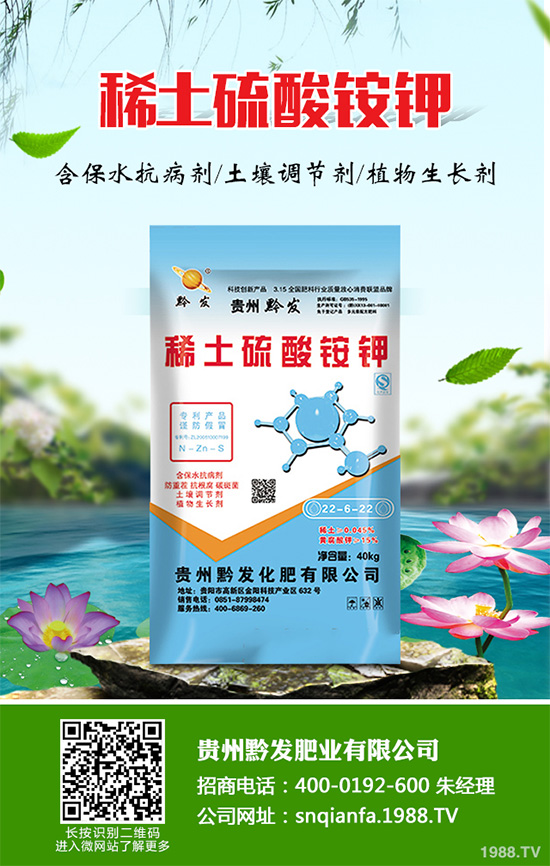 萵苣什么時候種植？萵苣高產種植方案