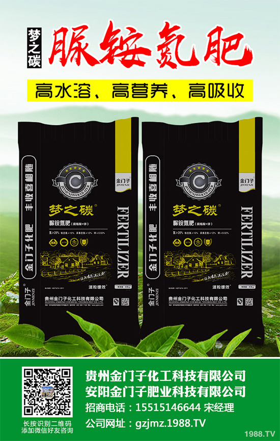 萵苣什么時候種植？萵苣高產種植方案