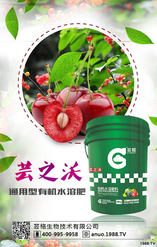 大蔥灰霉病有哪些危害？該如何防治？大蔥灰霉病防治措施