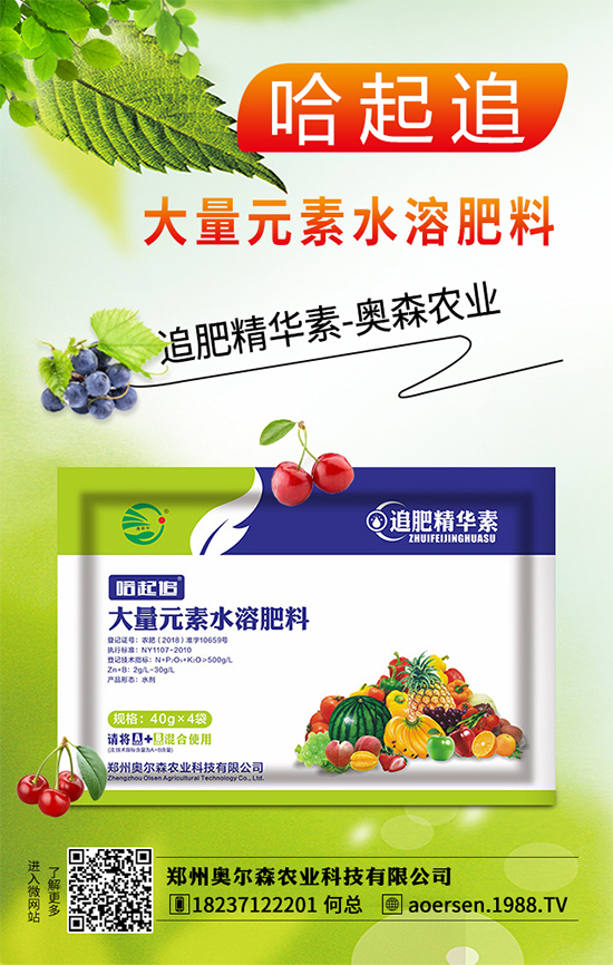 大蔥灰霉病有哪些危害？該如何防治？大蔥灰霉病防治措施