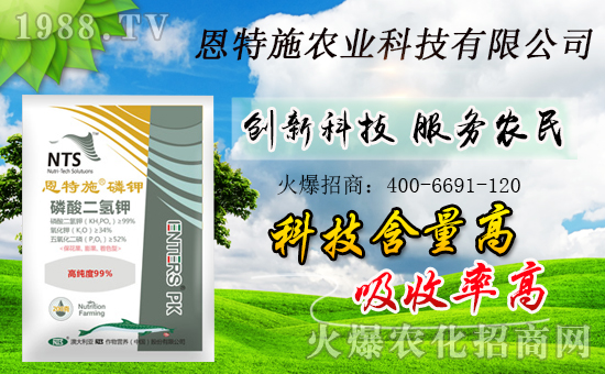 ���r(n��ng)���W(w��ng)ϲӭ���������y�ֶ���ʩ����ؔ��֮·