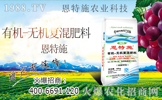 ���r(n��ng)���W(w��ng)ϲӭ�����ѣ��y�ֶ���ʩ����ؔ��֮·