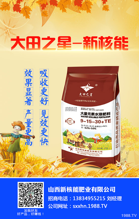     �R�����c������(n��i)�����Ј�΢�������؃r�������߄ݷ���2019-9-21