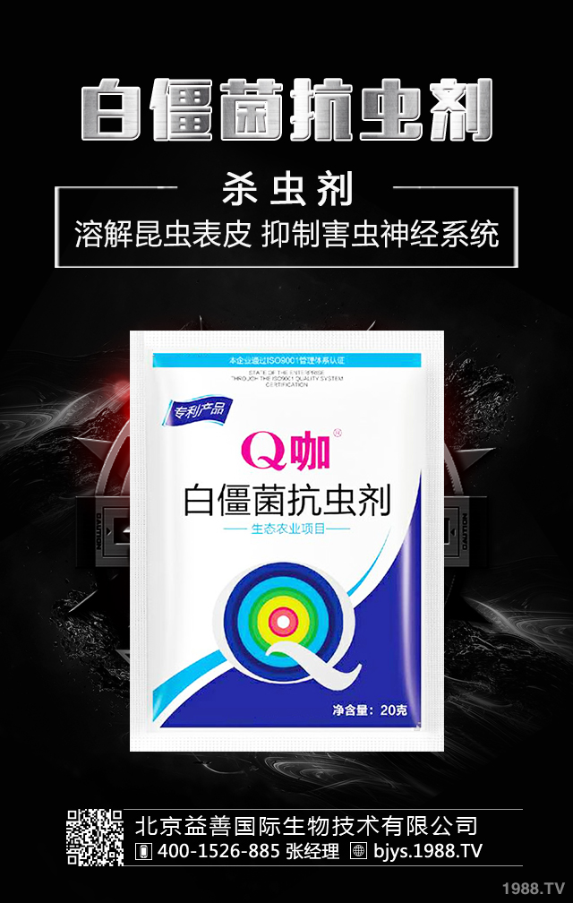 月季病蟲害怎么防治？月季病蟲害防治集錦