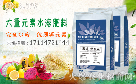 1988.TVϲӭ����������ɫ�к����r�I(y��)���݁��u�����F(xi��n)��I(y��)�°l(f��)չ��