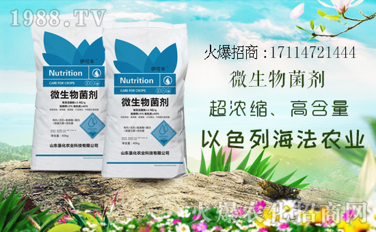 1988.TVϲӭ����������ɫ�к����r�I(y��)���݁��u�����F(xi��n)��I(y��)�°l(f��)չ��