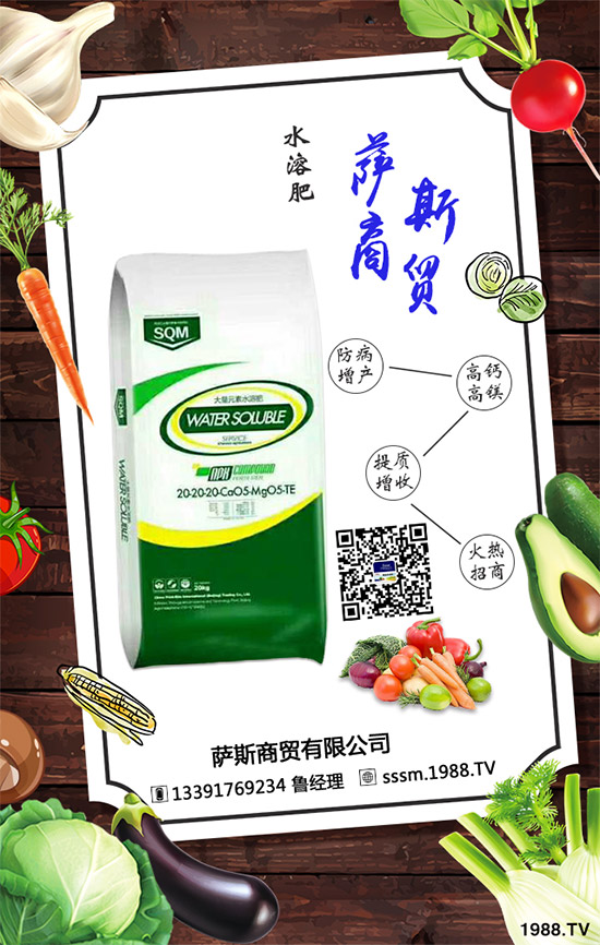 �_˹���Q(m��o)�ٶȔy��1988.TV�������W(w��ng)�j(lu��)�������x����