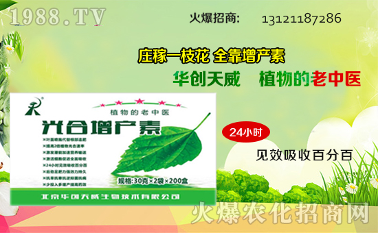 ��(zh��n)�Ժ������������A��(chu��ng)��������y��1988.TV�ل�(chu��ng)�x����