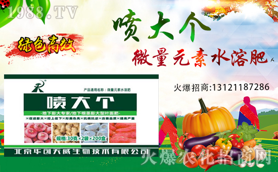 ��(zh��n)�Ժ������������A��(chu��ng)��������y��1988.TV�ل�(chu��ng)�x����