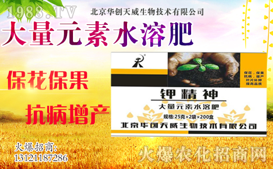 ��(zh��n)�Ժ������������A��(chu��ng)��������y��1988.TV�ل�(chu��ng)�x����