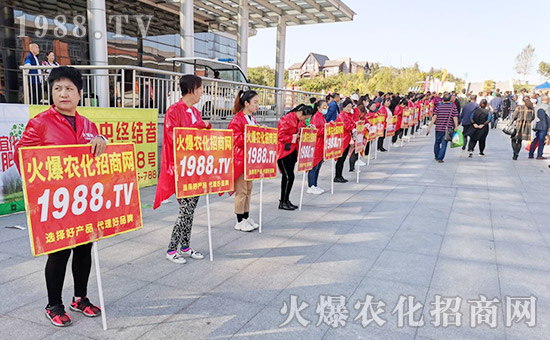     2019�L��ֲ����(hu��)��1988.TV�����o̎���ڣ������������ݲ��ɓ���