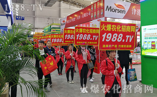 ���r(n��ng)���W(w��ng)2019�L��ֲ����(hu��)�r(n��ng)�Y���[��(hu��)��(zh��n)���x��