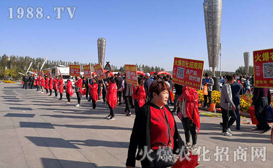 ���r(n��ng)���W(w��ng)2019�L��ֲ����(hu��)�r(n��ng)�Y���[��(hu��)��(zh��n)���x��