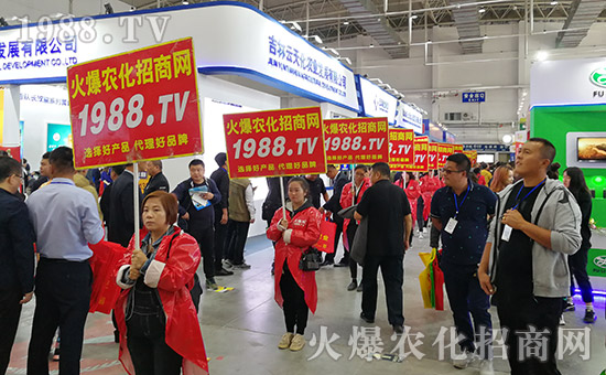 ���r(n��ng)���W(w��ng)2019�L��ֲ����(hu��)�r(n��ng)�Y���[��(hu��)��(zh��n)���x��