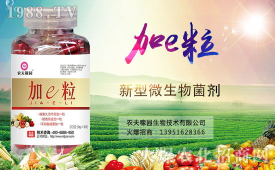 �����������������A���r(n��ng)��ڈ@�ٺ�1988.TV��(chu��ng)���x����