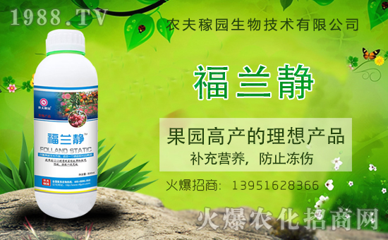 �����������������A���r(n��ng)��ڈ@�ٺ�1988.TV��(chu��ng)���x����