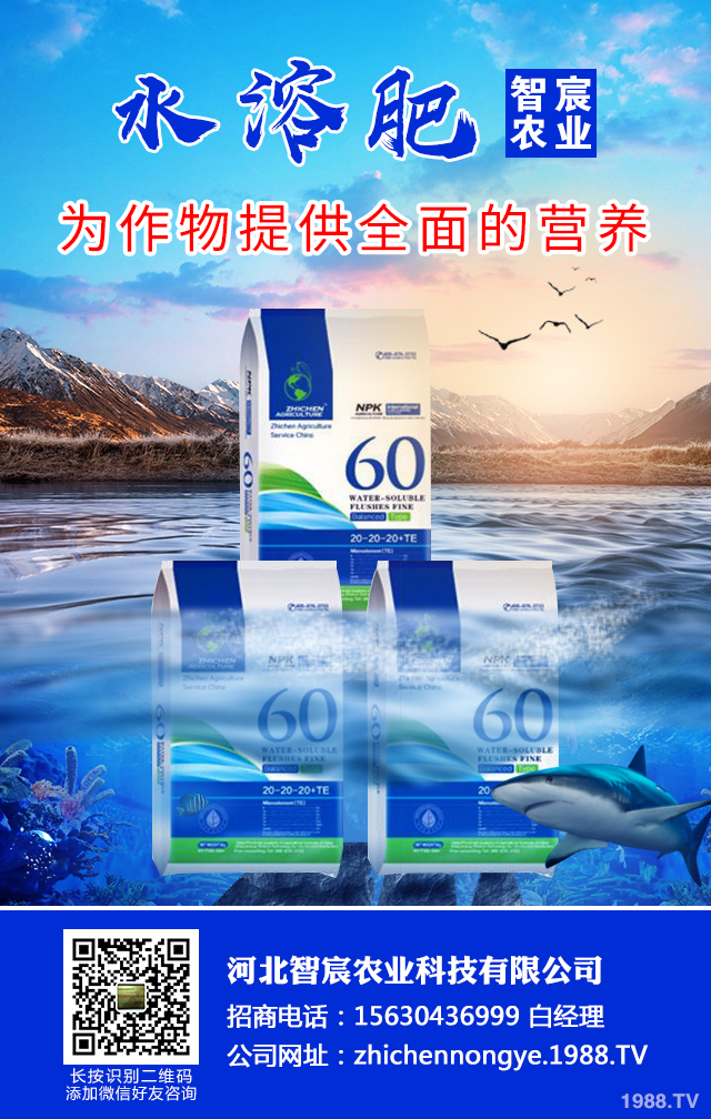 ��������������η����������綬���������g