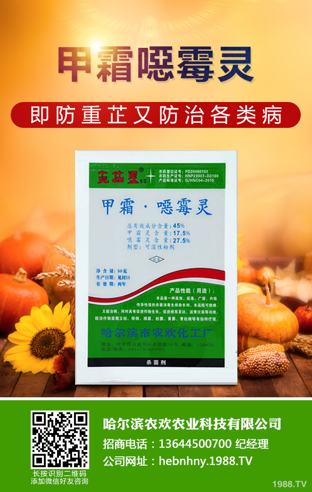 烏塌菜霜霉病怎么治？烏塌菜霜霉病防治技巧