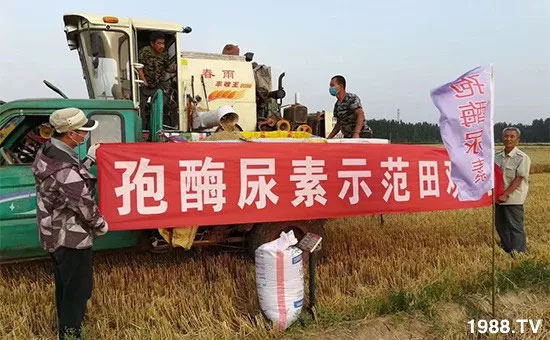 �ٿ���С�����a(ch��n)1471�����pø����ȫ�����������߮a(ch��n)������(d��ng)֮�o����