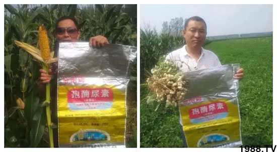 �ٿ���С�����a(ch��n)1471�����pø����ȫ�����������߮a(ch��n)������(d��ng)֮�o����