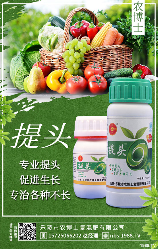 �������r(n��ng)��ʿ�ٶȔy��1988.TV���y�ֹ���(chu��ng)��(zh��n)�����ل�(chu��ng)�x�ͣ�2