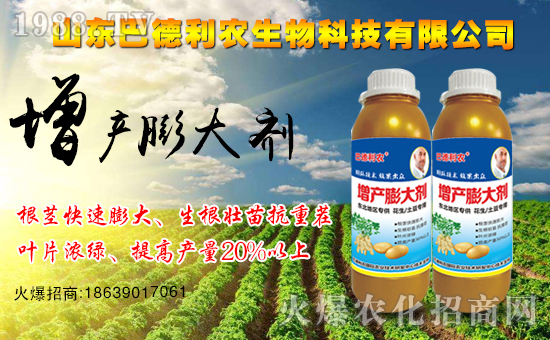 ����ף�Rɽ�|�͵����r(n��ng)����1988.TV���_(k��i)���W(w��ng)�j(lu��)������ģʽ��