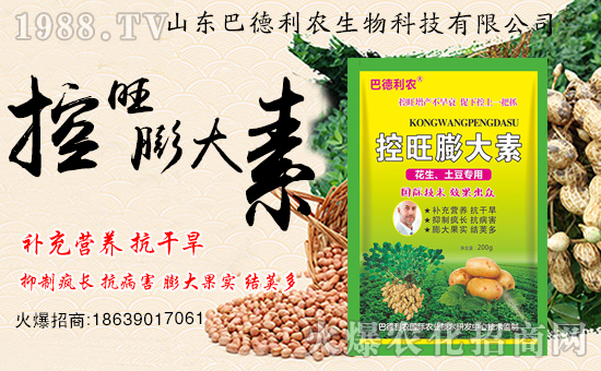 ����ף�Rɽ�|�͵����r(n��ng)����1988.TV���_(k��i)���W(w��ng)�j(lu��)������ģʽ��