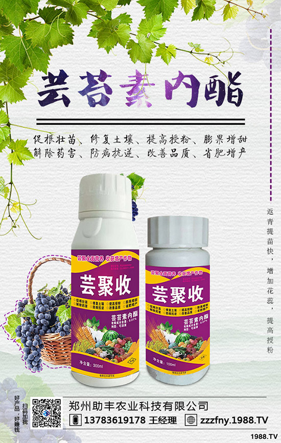 �J�������ժ�����J����ժ����ʲô��̎��