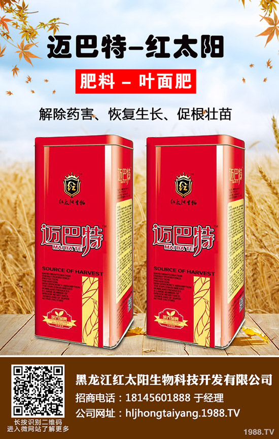 常吃紫蘇有什么好處，紫蘇的作用與功效！