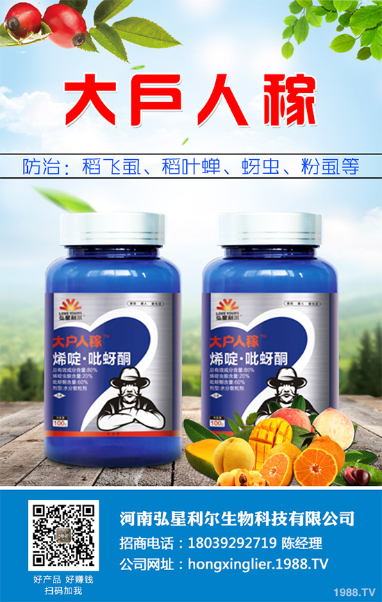 ���{(l��n)���x���r(ji��)��