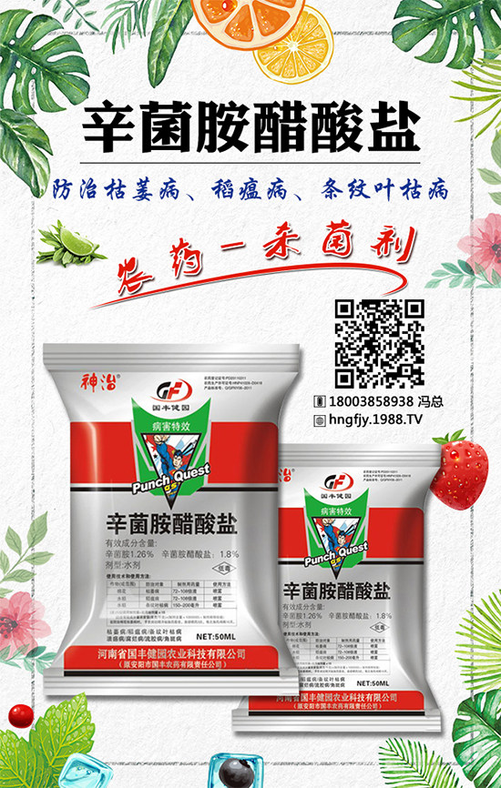 ��䚢�����r(ji��)��