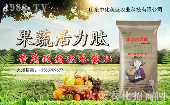 �л���ʢ���v���r(n��ng)���W(w��ng)���_���W(w��ng)�j(lu��)������������